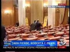 Circ in Parlament: Politicienii se lupta in bannere si se injura "romaneste"