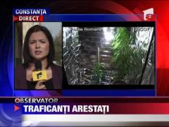 Traficanti de cannabis, arestati