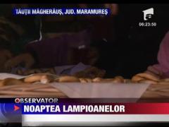 Catolicii si protestantii au sarbatorit ziua Sfintului Martin