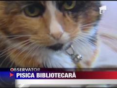 Pisica bibliotecara