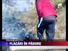 Padure cuprinsa de flacari langa localitatea Cheia