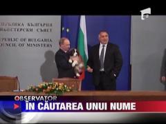 Putin cauta nume pentru cainele sau