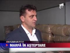 Marfa confiscata, in asteptare