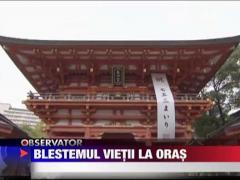 Blestemul vietii la oras