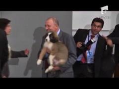 Vladimir Putin ar trebui sa-si boteze noul caine