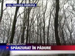 Spanzurat in padure