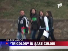 "Tricolor" in sase culori