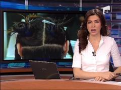 Cristina Grama, romanca premiata la Paris