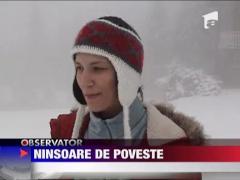 Ninge ca-n povesti