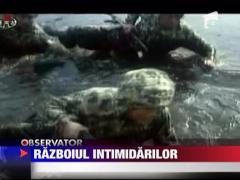 In peninsula Coreea situatia este mai tensionata