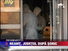 Piatra Neamt, judetul dupa Soric