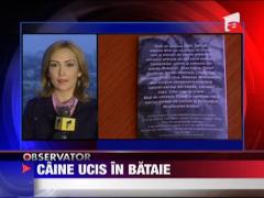 Drogurile legale iau mintile tinerilor