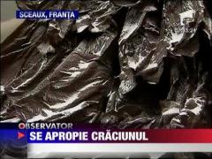 Spiritul Craciunului se face deja simtit in toata lumea