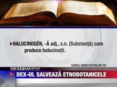 Dex-ul salveaza etnobotanicele