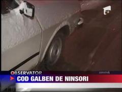 Cod galben de ninsori