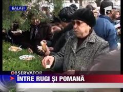 Intre pomana si rugi