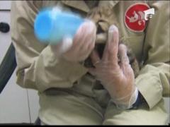 Un pui de ghepard a devenit vedeta