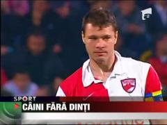 Cainii vor avea sarbatorile de iarna triste