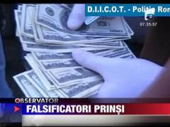 Falsificatori prinsi