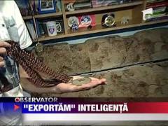 12 mii de elevi parasesc Romania anual