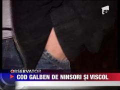 Cod galben de ninsori si viscol