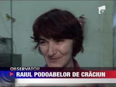 Raiul podoabelor de Craciun