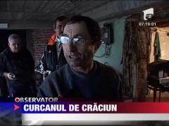Curcanul este noul porc de acest Craciun