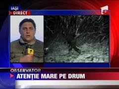 Atentie mare la drum