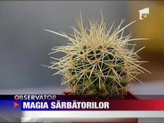 Targurile de Craciun si-au deschis portile