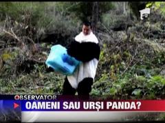 Sunt oameni sau ursi panda?