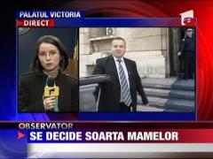 Guvernul decide forma finala a concediului de maternitate