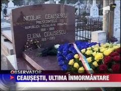 Low-cost se muta la Otopeni