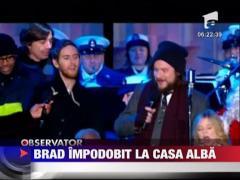 Brad impodobit la Casa Alba
