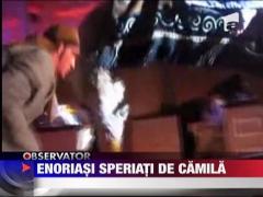 Enoriasi speriati de camila