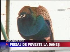 Peisaj de poveste la Danes