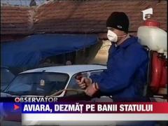 Dezmat pe banii statului