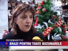 Brazi pentru toate buzunarele