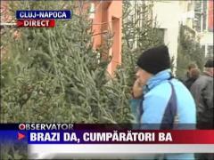 Romanii nu prea se inghesuie sa cumpere brazi