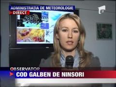 Cod galben de ninsori