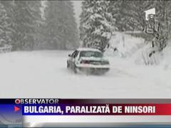 Bulgaria, paralizata de ninsori