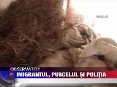 Ucrainean prins la furat in Maramures