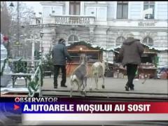 Ajutoarele Mosului au sosit