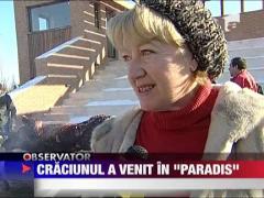 Craciunul a venit in "paradis"
