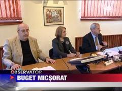 CNA va avea anul viitor un buget mai sarac