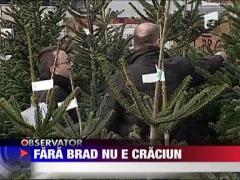 Fara brad nu e Craciun