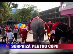 Elefantii Mos Craciun