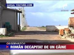 Roman decapitat de un caine
