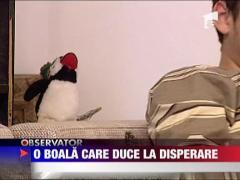 O boala care duce la disperare