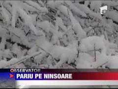 Pariu pe ninsoare