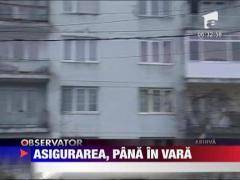 Asigurarea, pana in vara